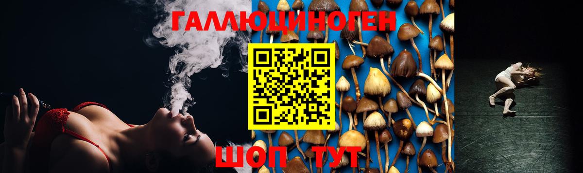Медногорск  Галлюциногенные грибы GOLDEN TEACHER  Вход с VPN 